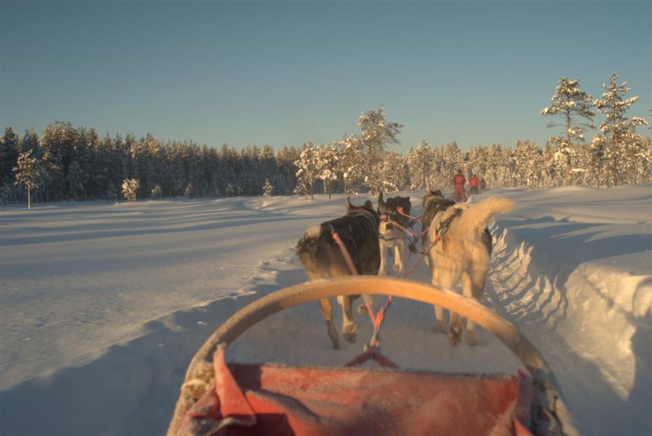 Arctic Panorama Lodge Uloybukta Экстерьер фото