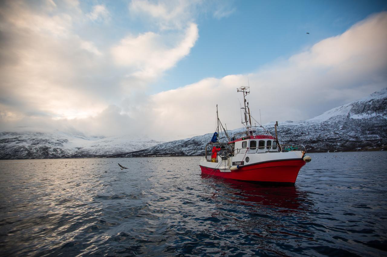 Arctic Panorama Lodge Uloybukta Экстерьер фото